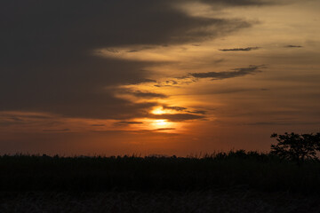 Obraz premium sunset over the field