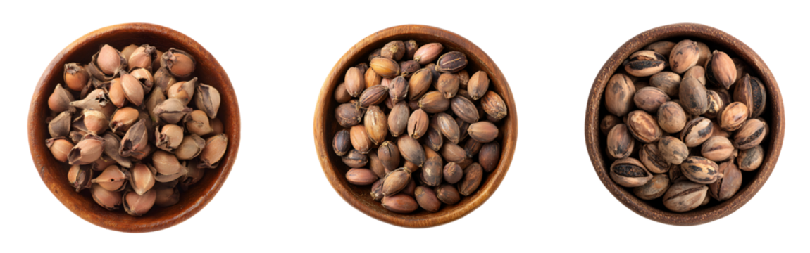 Three oval wooden bowls filled with raw cocoa beans showing texture and color variations isolated on transparent background