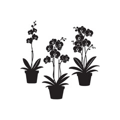Orchid in Pot Silhouette Vector