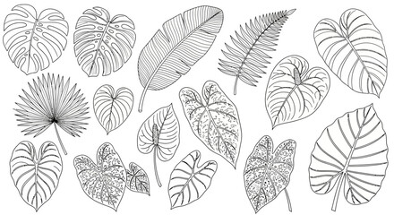 set of leaves