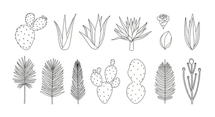 set of flowers