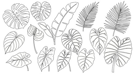set of leaves