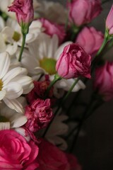 white and pink eustoma prairie gentian