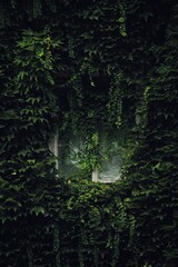green grunge background