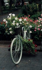 bicycle and flowers
