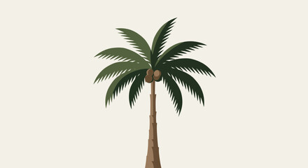 palm tree vector illustration