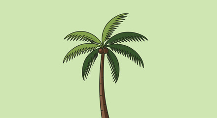 palm tree vector illustration