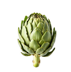 Fresh artichoke head, vibrant green, close-up