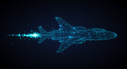 Passenger Airplane Polygonal Wireframe Vector