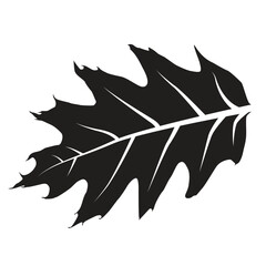 Fototapeta premium Realistic Leaf Vector Line Art – Botanical, Nature, Eco-Friendly Illustration