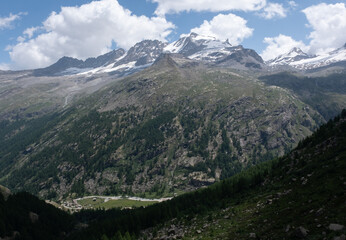 Fototapeta premium Natural variety found in an Alpine valley. Europe. They were mainly taken in the Gran Paradiso valley, Italy. They were taken during a 7-day hike. From 1800 to 3100 meters altitude. 