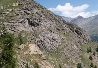 Natural variety found in an Alpine valley. Europe.
They were mainly taken in the Gran Paradiso valley, Italy. They were taken during a 7-day hike. From 1800 to 3100 meters altitude. 