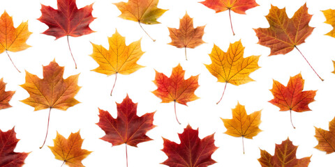 Obraz premium Autumn leaves pattern with various shades of red orange and yellow on a transparent background design