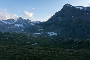 Natural variety found in an Alpine valley. Europe.
They were mainly taken in the Gran Paradiso valley, Italy. They were taken during a 7-day hike. From 1800 to 3100 meters altitude. 