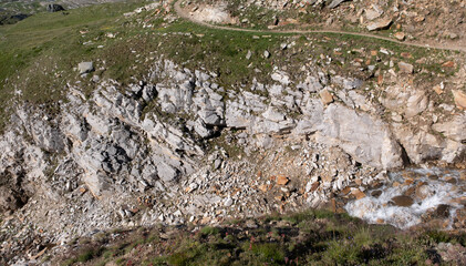 Natural variety found in an Alpine valley. Europe.
They were mainly taken in the Gran Paradiso valley, Italy. They were taken during a 7-day hike. From 1800 to 3100 meters altitude. 