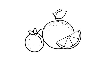 Realistic Clementine, or Tangerine Outline Isolated on White Background Illustration Vector. Whole and Slice Tangerine, Orange, or Mandarin Isolated Banner Vector