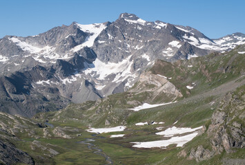 Natural variety found in an Alpine valley. Europe.
They were mainly taken in the Gran Paradiso valley, Italy. They were taken during a 7-day hike. From 1800 to 3100 meters altitude. 