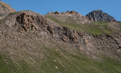 Natural variety found in an Alpine valley. Europe.
They were mainly taken in the Gran Paradiso valley, Italy. They were taken during a 7-day hike. From 1800 to 3100 meters altitude. 