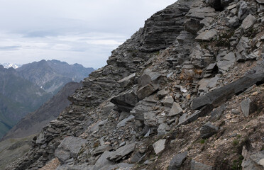Natural variety found in an Alpine valley. Europe.
They were mainly taken in the Gran Paradiso valley, Italy. They were taken during a 7-day hike. From 1800 to 3100 meters altitude. 