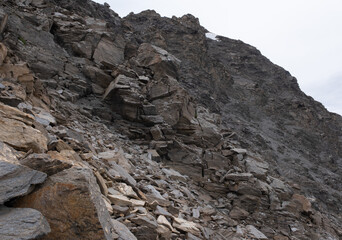 Natural variety found in an Alpine valley. Europe.
They were mainly taken in the Gran Paradiso valley, Italy. They were taken during a 7-day hike. From 1800 to 3100 meters altitude. 