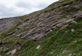 Natural variety found in an Alpine valley. Europe.
They were mainly taken in the Gran Paradiso valley, Italy. They were taken during a 7-day hike. From 1800 to 3100 meters altitude. 