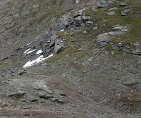 Natural variety found in an Alpine valley. Europe.
They were mainly taken in the Gran Paradiso valley, Italy. They were taken during a 7-day hike. From 1800 to 3100 meters altitude. 