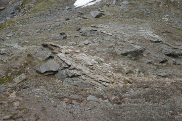 Natural variety found in an Alpine valley. Europe.
They were mainly taken in the Gran Paradiso valley, Italy. They were taken during a 7-day hike. From 1800 to 3100 meters altitude. 