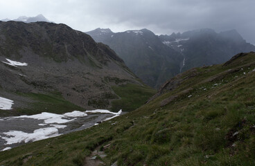 Natural variety found in an Alpine valley. Europe.
They were mainly taken in the Gran Paradiso valley, Italy. They were taken during a 7-day hike. From 1800 to 3100 meters altitude. 