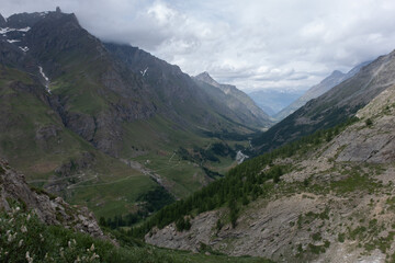 Obraz premium Natural variety found in an Alpine valley. Europe. They were mainly taken in the Gran Paradiso valley, Italy. They were taken during a 7-day hike. From 1800 to 3100 meters altitude. 