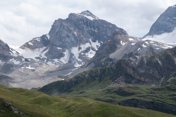 Natural variety found in an Alpine valley. Europe.
They were mainly taken in the Gran Paradiso valley, Italy. They were taken during a 7-day hike. From 1800 to 3100 meters altitude. 