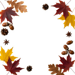 Autumn Border with Leaves, Pinecones, and Seasonal Elements