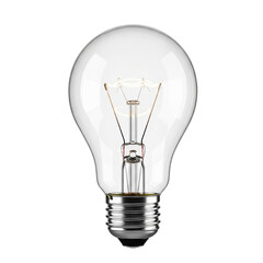 Classic Clear Incandescent Light Bulb with Visible Filament
