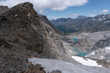 Natural variety found in an Alpine valley. Europe.
They were mainly taken in the Gran Paradiso valley, Italy. They were taken during a 7-day hike. From 1800 to 3100 meters altitude. 