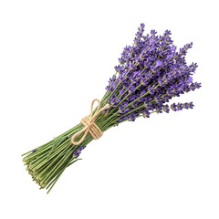 Lavender Bouquet Tied with Rustic Twine