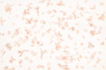 Softly scattered pink hydrangea flowers petals create a delicate floral pastel background