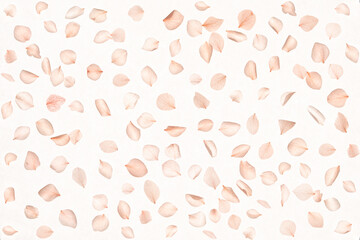 Floral arrangement featuring delicate pink hydrangea petals in subtle pastel hues