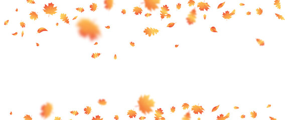 Autumn leaf flying frame. October foliage wave background. Thanksgiving day card. Fall maple composition. Oak leaves decor september poster. Orange plant. Harvest party invitation.Vector illustration