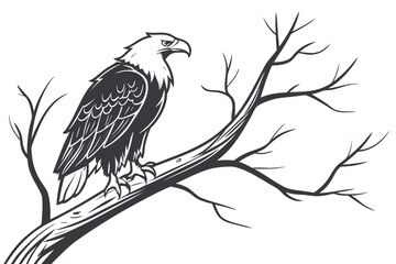 Detailed Hand-Drawn Bald Eagle and Tree Illustration