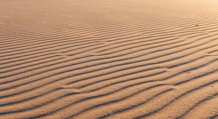 Obraz premium Close-up view of rippling sand dunes, highlighting the textured surface and patterns created by the wind