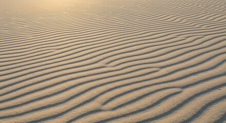 Obraz premium Golden Sands A Detailed View of Sand Dunes Under the Sun's Gentle Light, Natural Textures