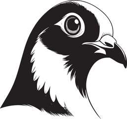 vector illustration of a pigeon bird