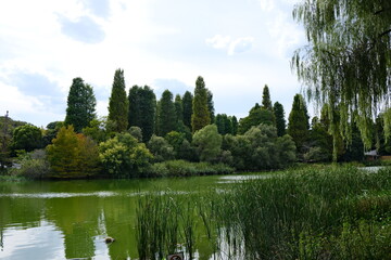 초록초록한 녹지 공원