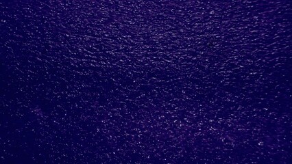 vibrant purple textured surface with subtle light reflections for background, wallpaper, and design projects