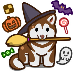 ハロウィン仮装のレッドアンドホワイトのアラスカンマラミュート