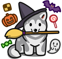 ハロウィン仮装のライトグレーのアラスカンマラミュート