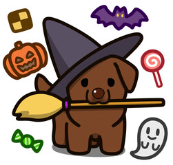 ハロウィン仮装のチョコレートカラーのラブラドールレトリバー