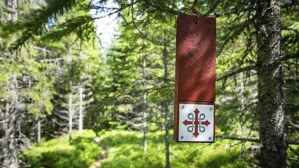 Red sign with Olav's cross hanging on a tree, forest path in bright sunshine, Olavsweg or Olavsleden, Norway
