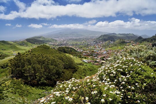 View of San Cristobal de La Laguna and the Anaga Mountains from the Mirador de Jardina, Tenerife Island, Canary Islands, Spain