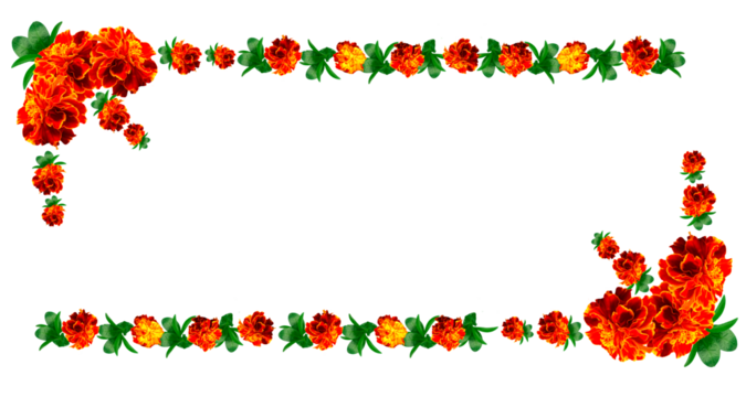national holiday, Diwali, marigold flowers, marigold flowers. for marriage and festivals traditional. banner. garlands of flowers isolated