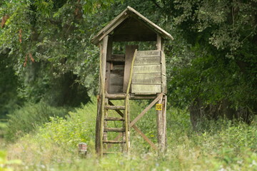 Hunting tower in the forest	